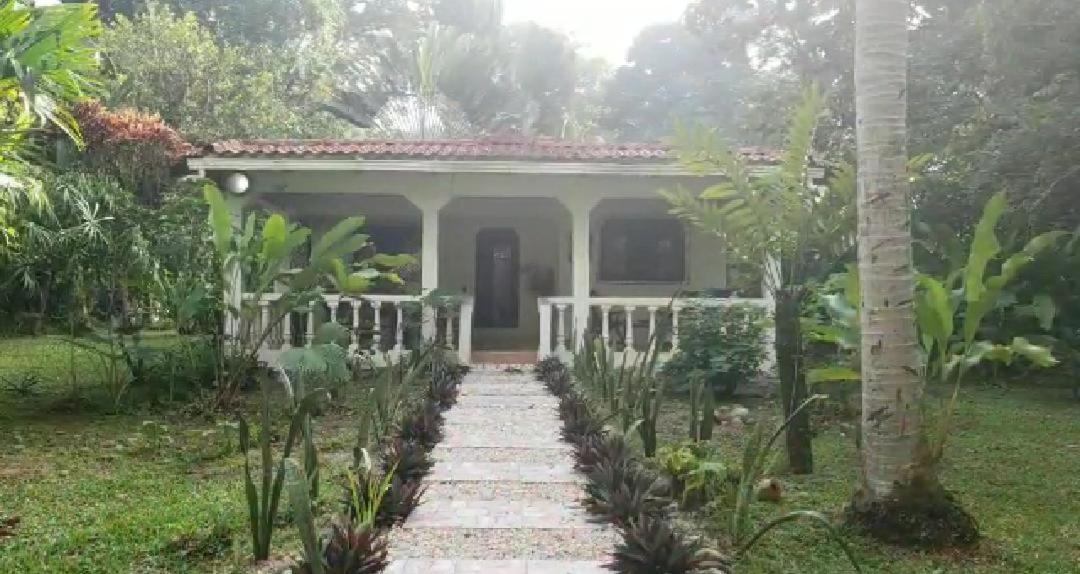 Hostal Cecilia Puerto Viejo de Talamanca Bagian luar foto