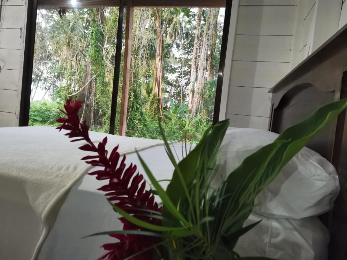 Hostal Cecilia Puerto Viejo de Talamanca Bagian luar foto