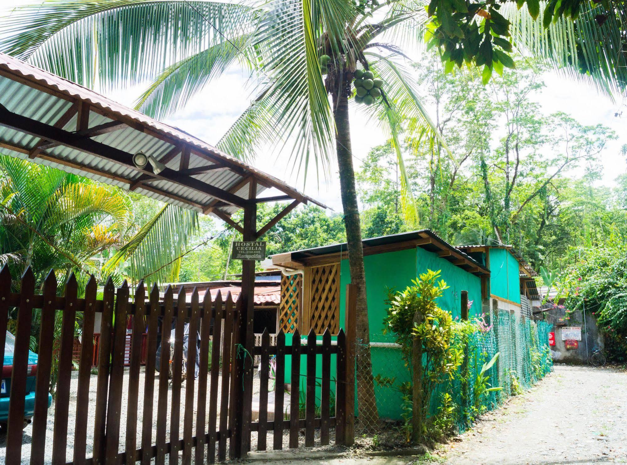 Hostal Cecilia Puerto Viejo de Talamanca Bagian luar foto