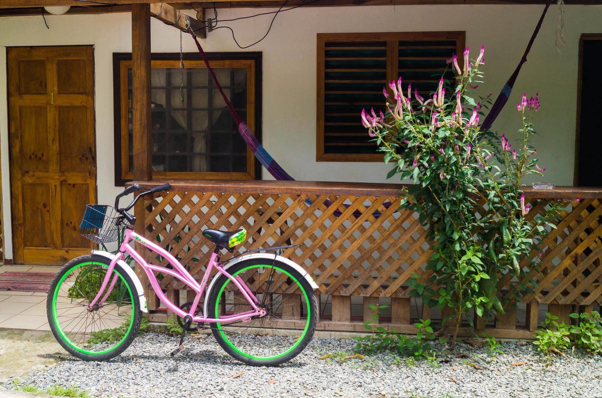 Hostal Cecilia Puerto Viejo de Talamanca Bagian luar foto