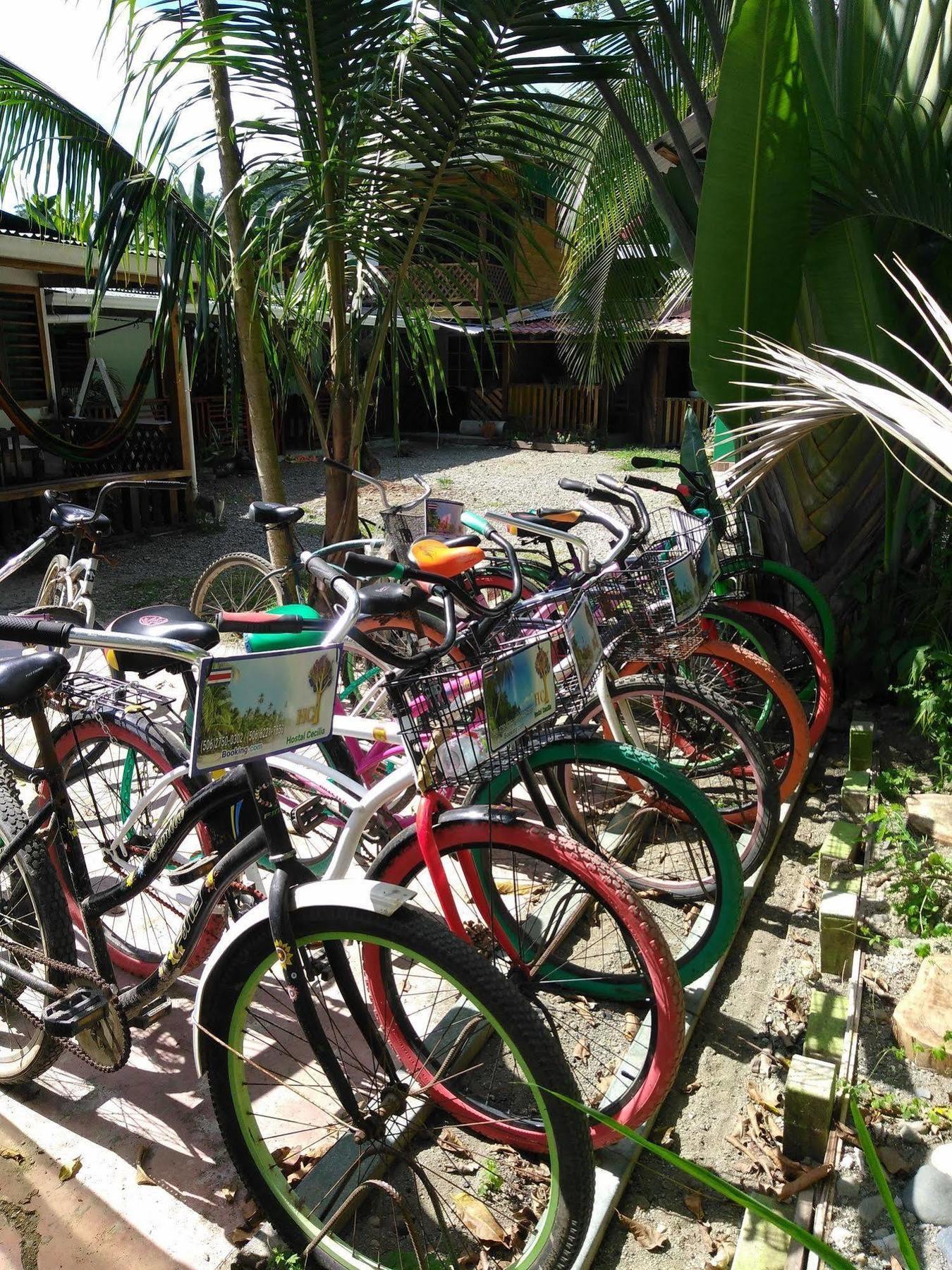 Hostal Cecilia Puerto Viejo de Talamanca Bagian luar foto