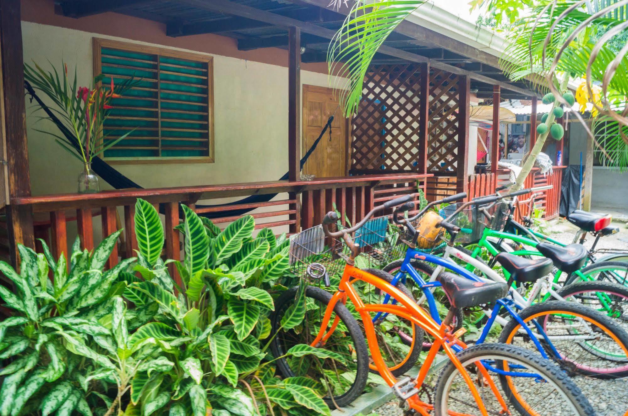 Hostal Cecilia Puerto Viejo de Talamanca Bagian luar foto