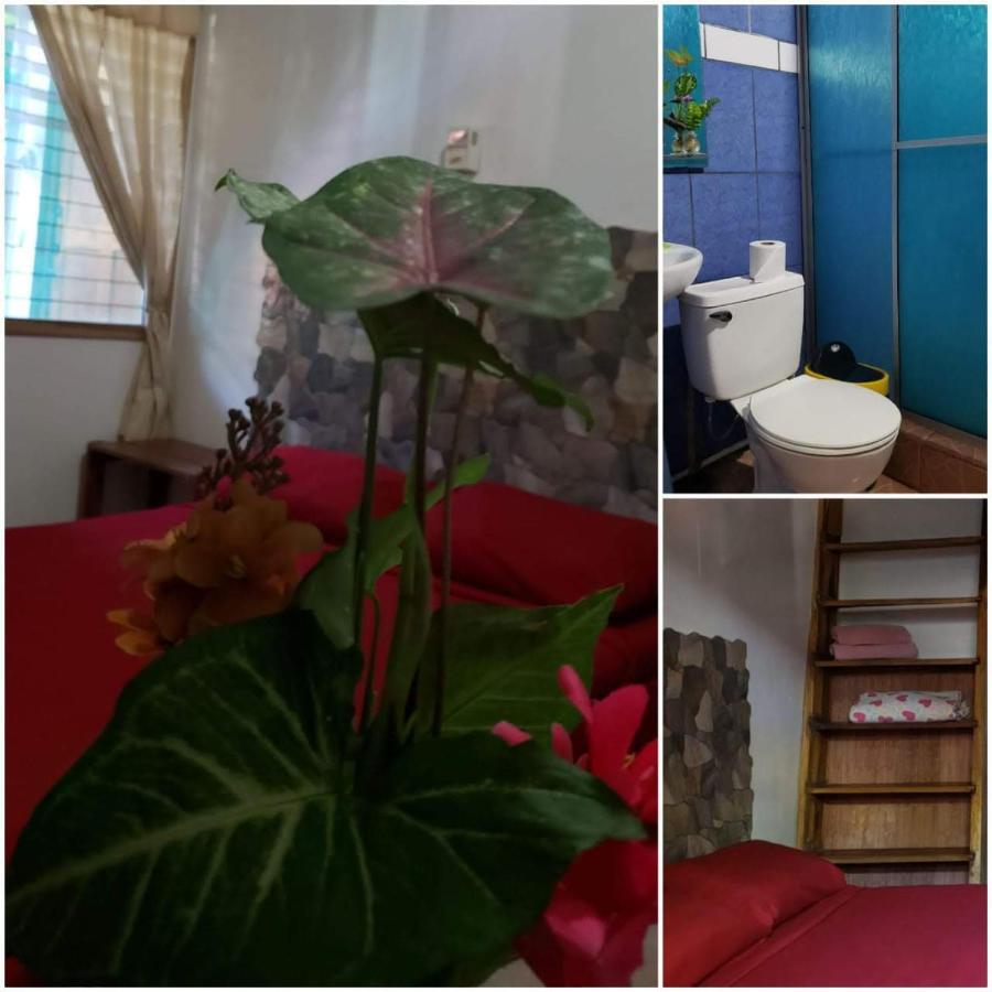Hostal Cecilia Puerto Viejo de Talamanca Bagian luar foto